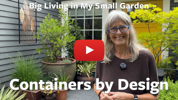 Containers by Design 🌿 Big Living in My Small Garden