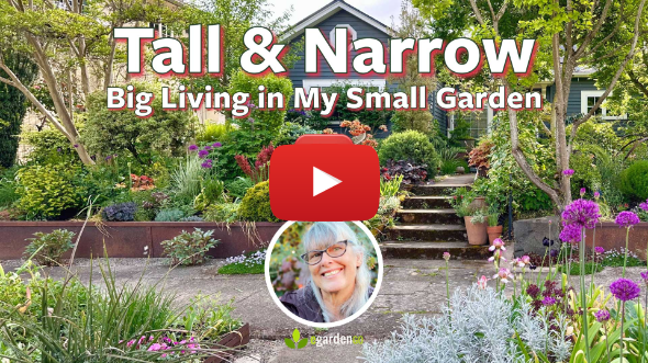 Big Living in My Small Garden 🌿 Tall and Narrow
