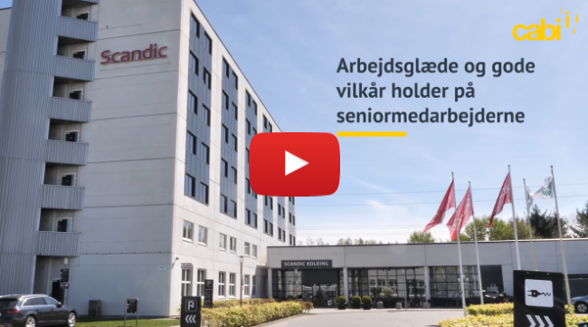 Arbejdsglæde og gode vilkår holder på seniormedarbejderne